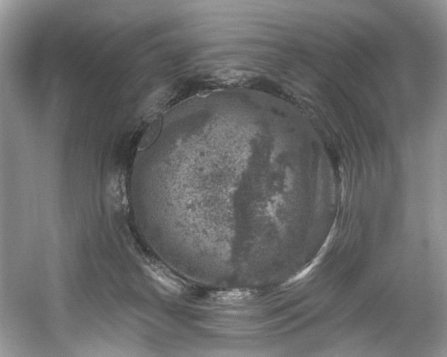 X0000061150182200511181244