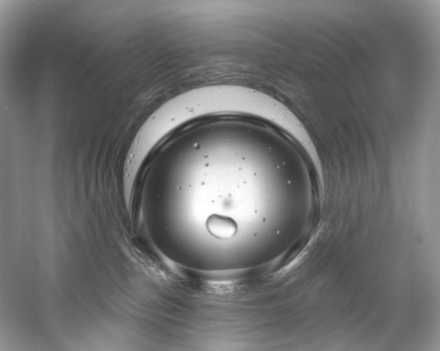 X0000061150187200511181244