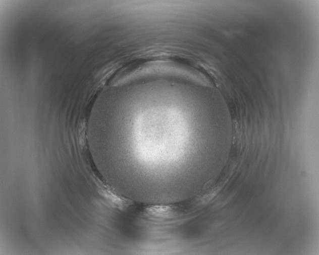 X0000061150189200511181244