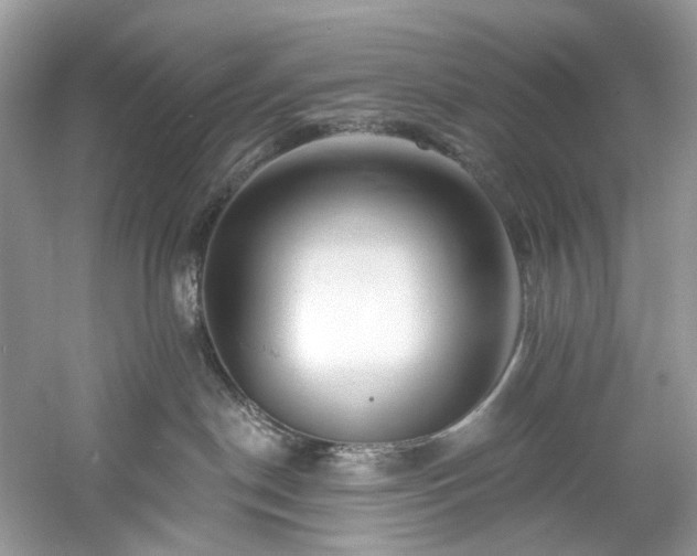 X0000061150190200511181244