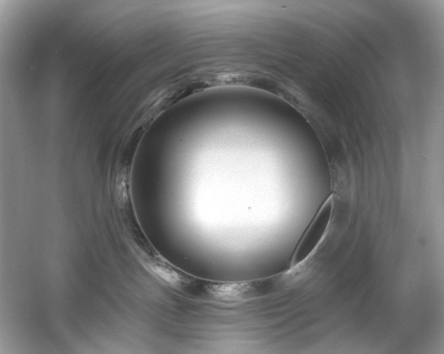 X0000061150191200511181244