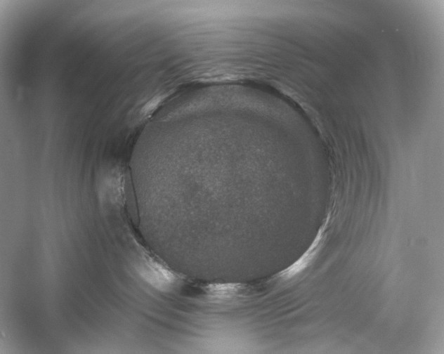 X0000061150192200511181244