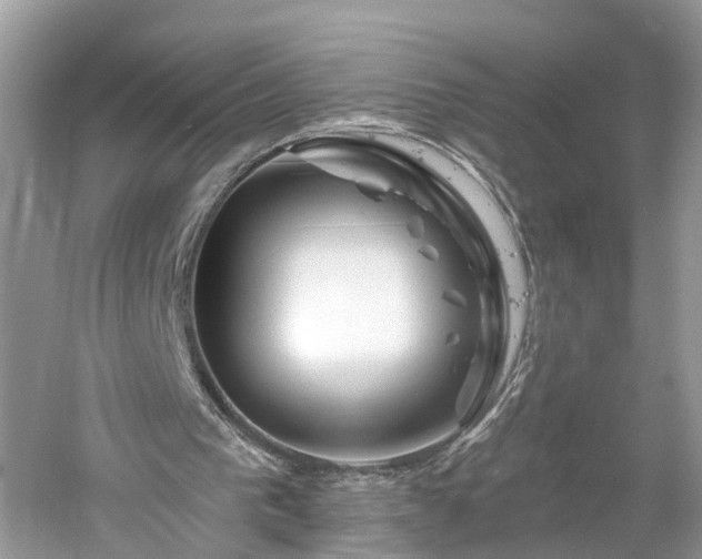 X0000061150193200511181243