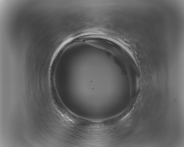 X0000061150200200511181243