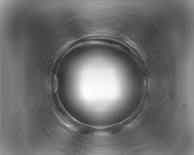 X0000061150203200511181243