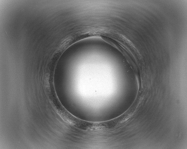 X0000061150209200511181243