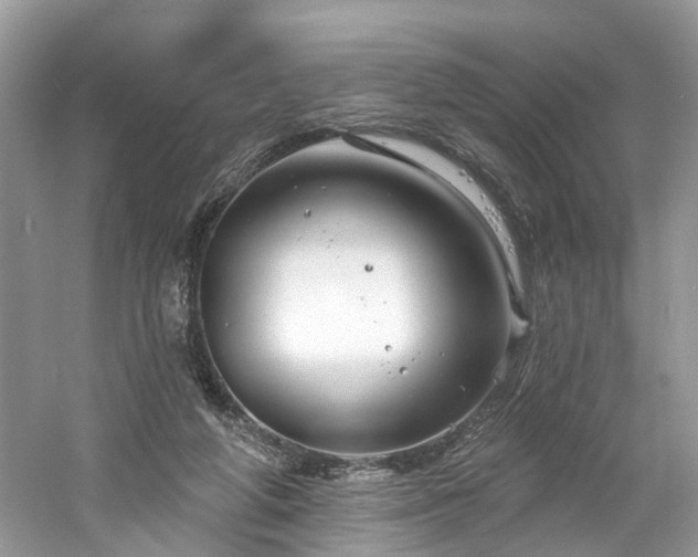 X0000061150210200511181243