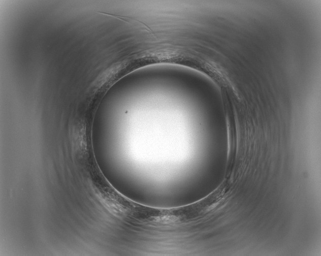 X0000061150212200511181243