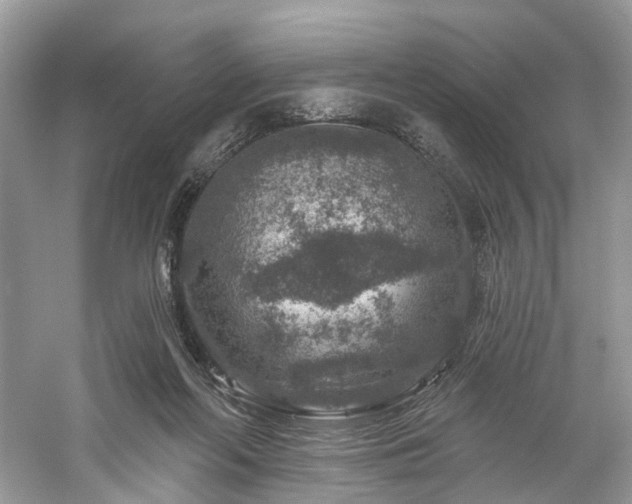 X0000061150214200511181243