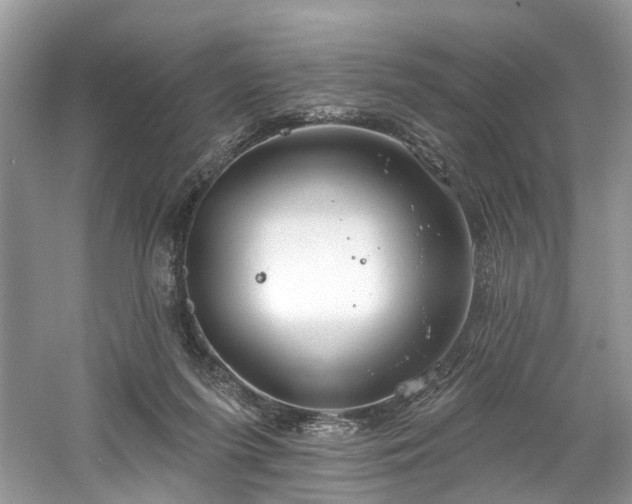 X0000061150215200511181243