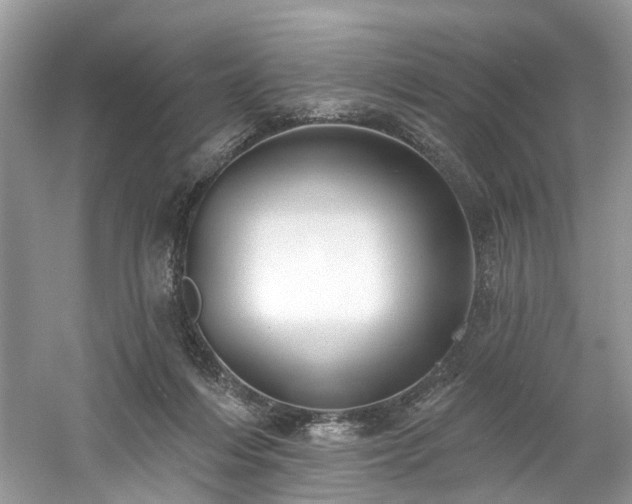 X0000061150216200511181243