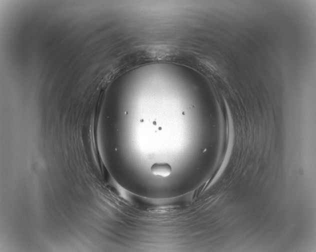 X0000061150221200511181243