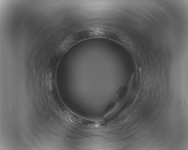 X0000061150223200511181243