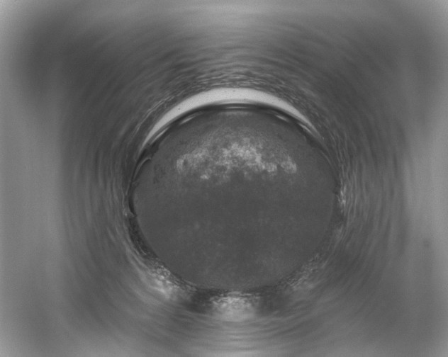 X0000061150224200511181243