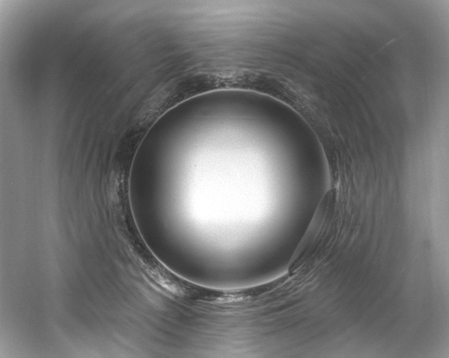 X0000061150225200511181243