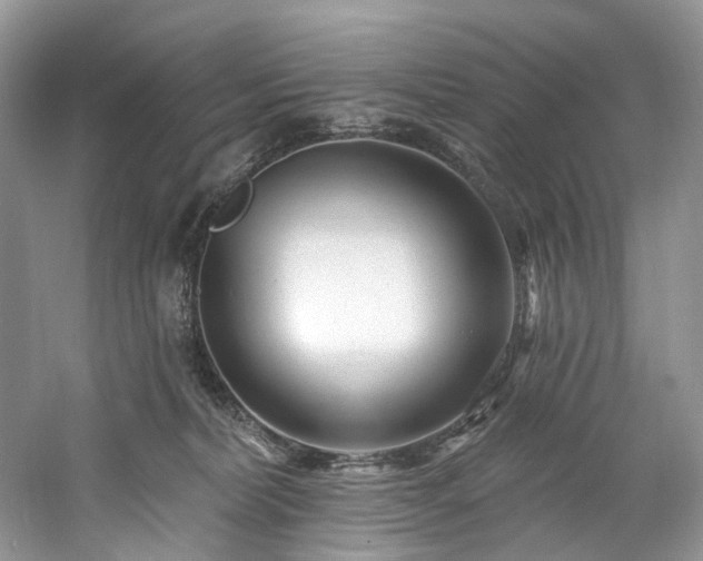 X0000061150228200511181243