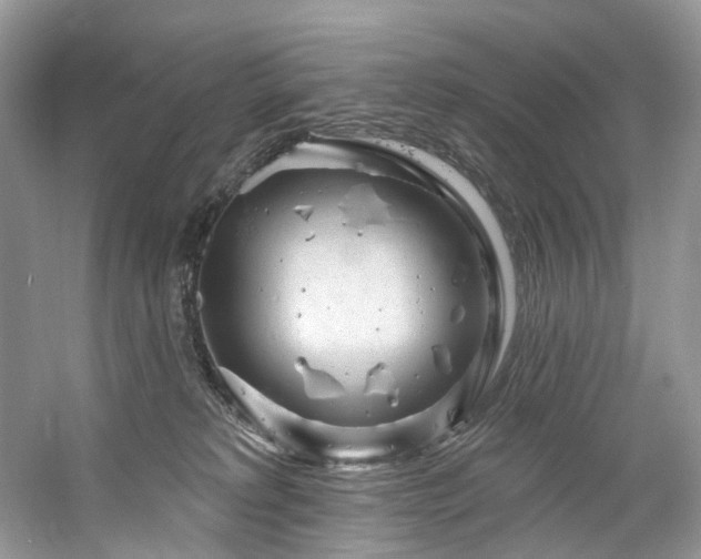 X0000061150229200511181243