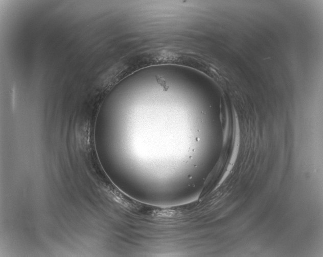 X0000061150230200511181242