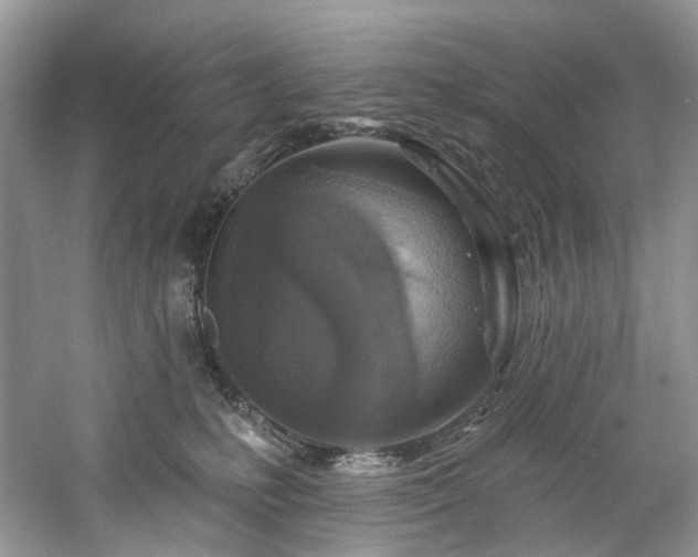 X0000061150231200511181242