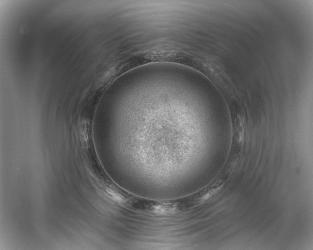 X0000061150232200511181242