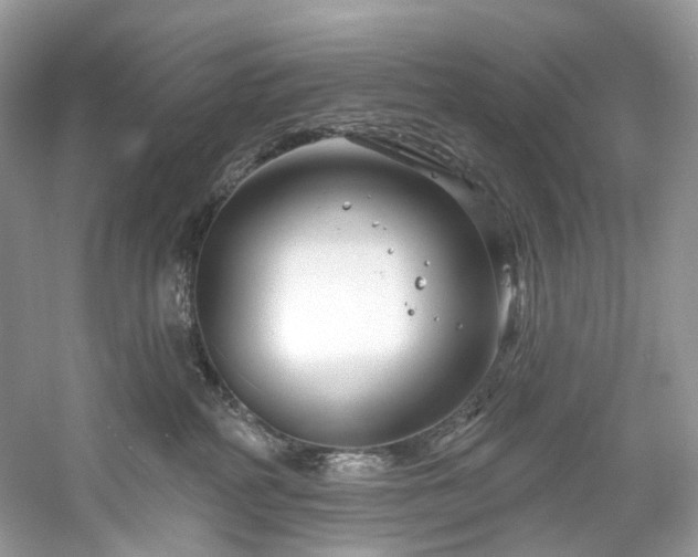 X0000061150234200511181242