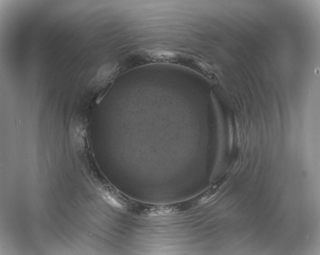 X0000061150235200511181242