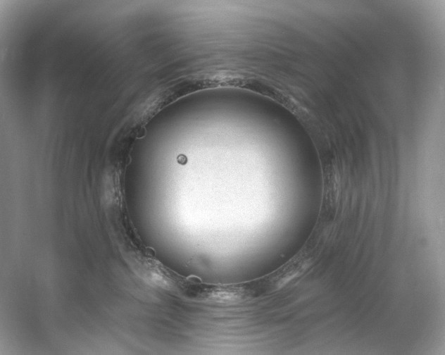 X0000061150236200511181242