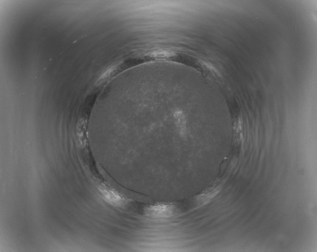 X0000061150237200511181242