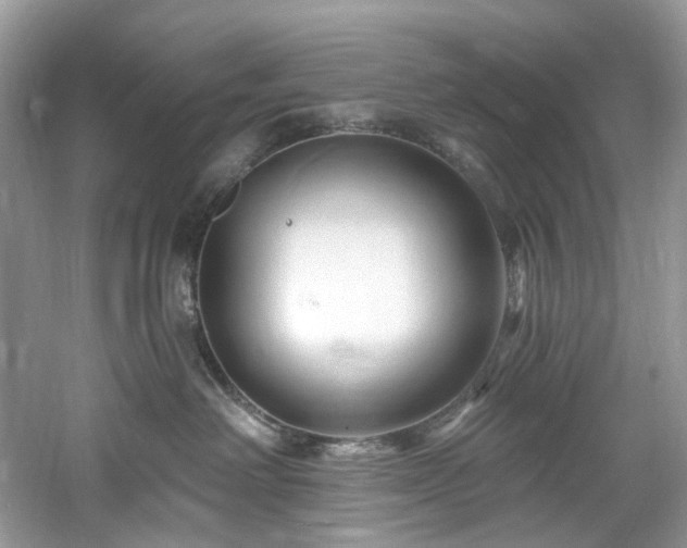 X0000061150238200511181242