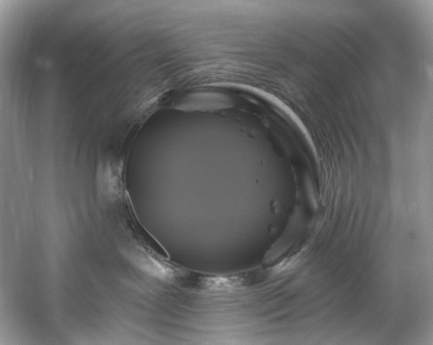 X0000061150239200511181242