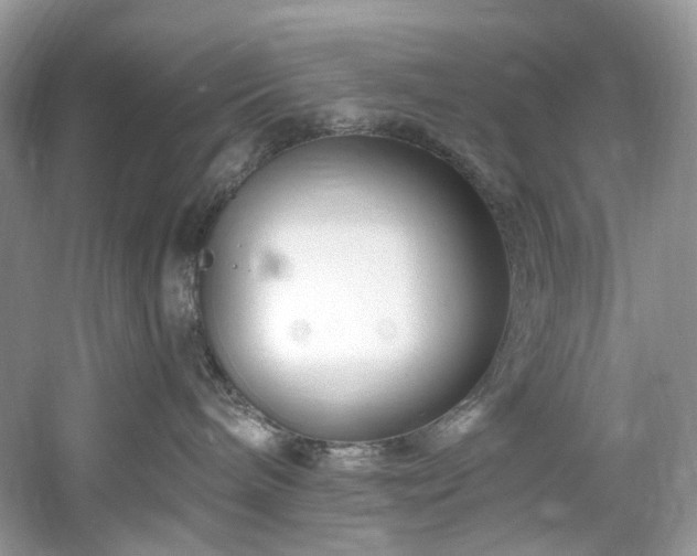 X0000061150240200511181242