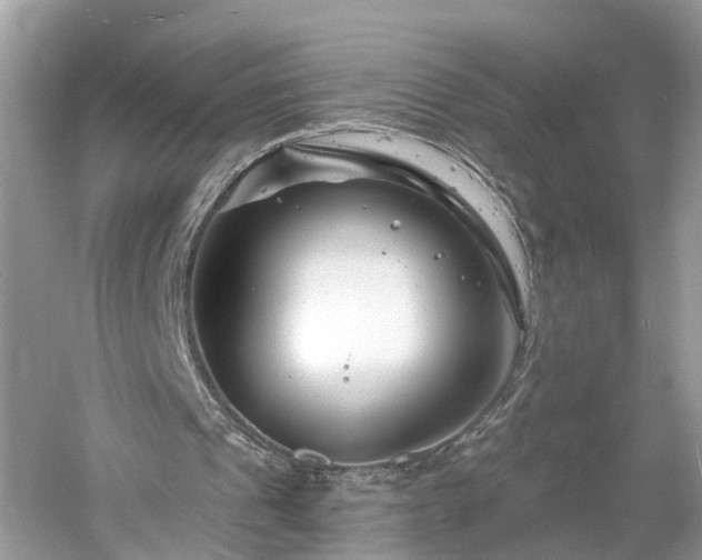 X0000061150241200511181242