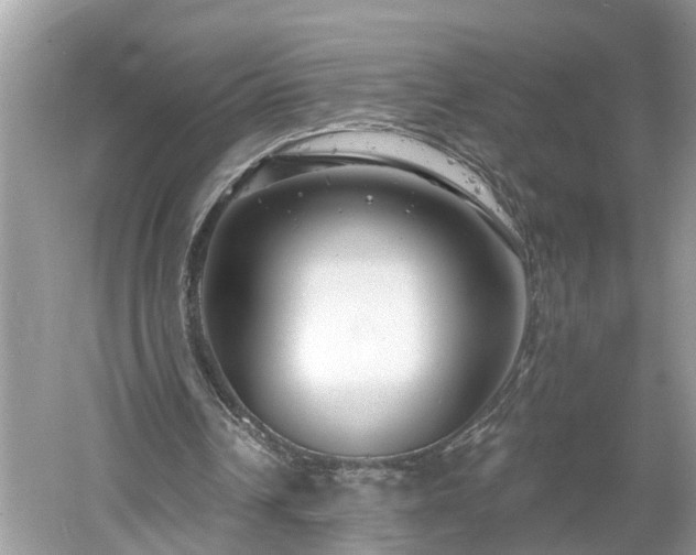 X0000061150242200511181242