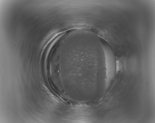 X0000061150243200511181242