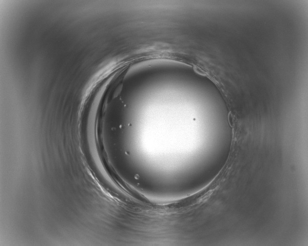 X0000061150245200511181242