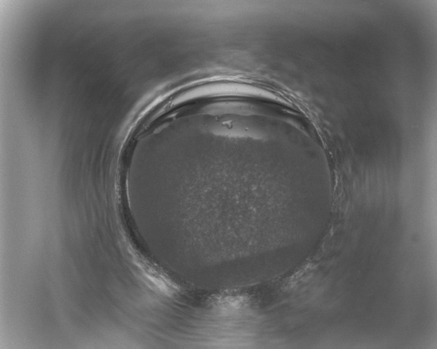 X0000061150247200511181242