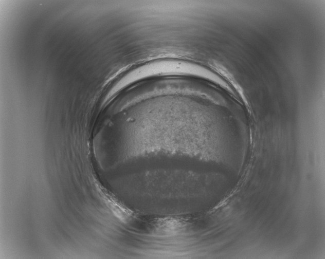 X0000061150249200511181242