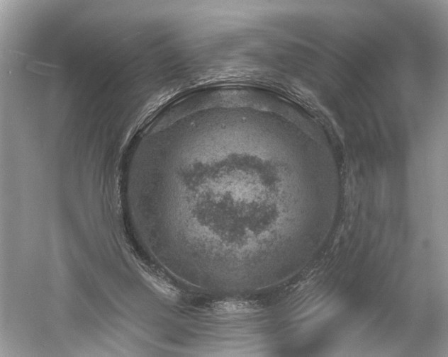 X0000061150250200511181242