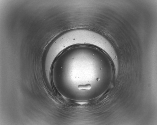 X0000061150251200511181242