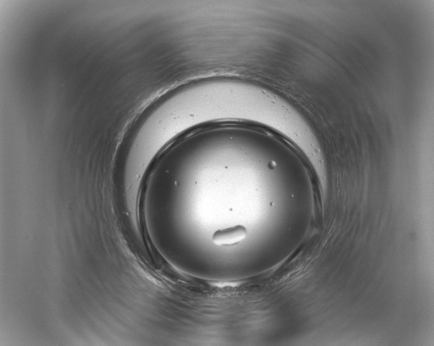 X0000061150252200511181242