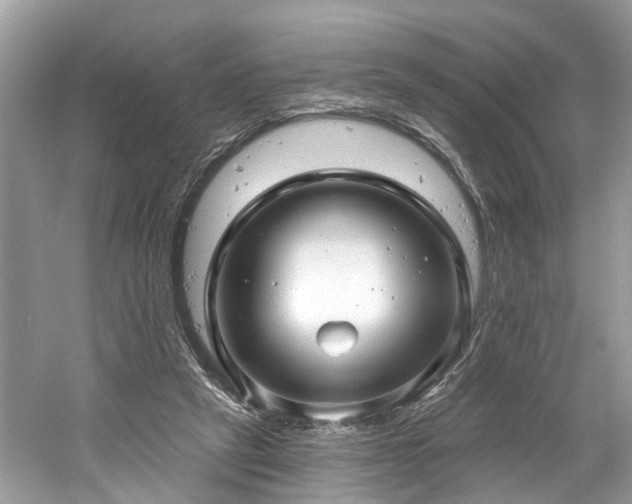 X0000061150257200511181242