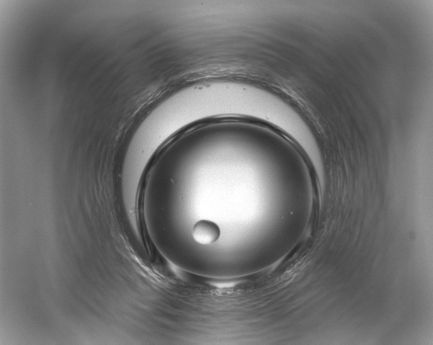 X0000061150261200511181242