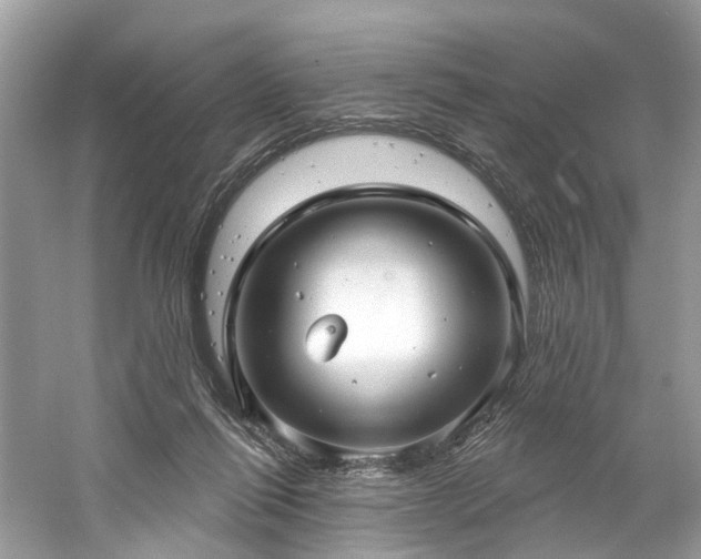 X0000061150262200511181242