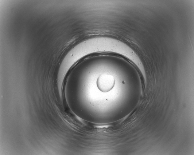 X0000061150264200511181242