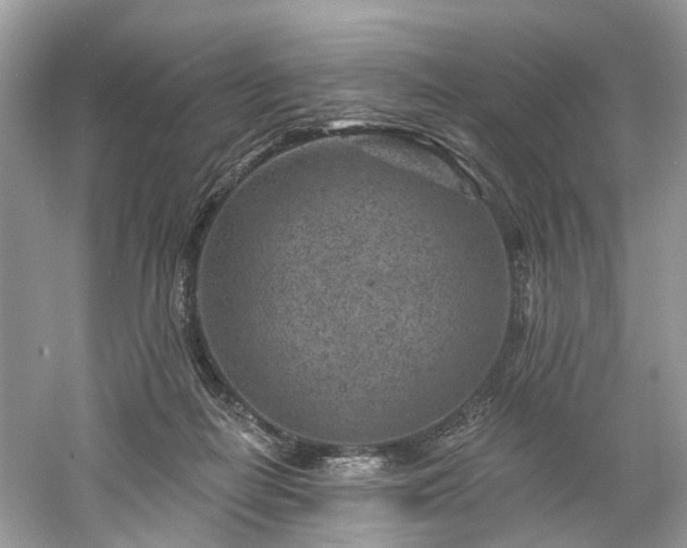 X0000061150266200511181242