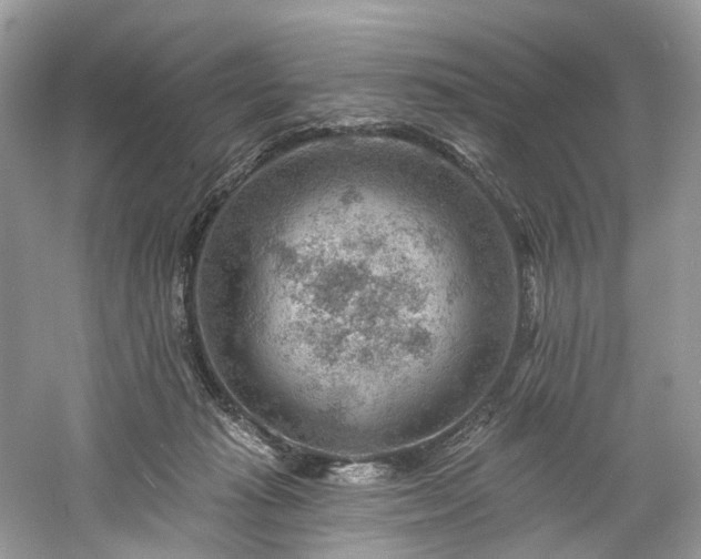 X0000061150269200511181242