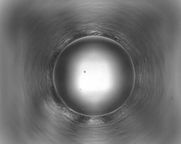 X0000061150270200511181242