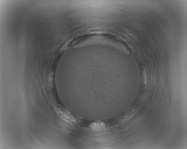 X0000061150271200511181242