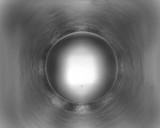 X0000061150274200511181242