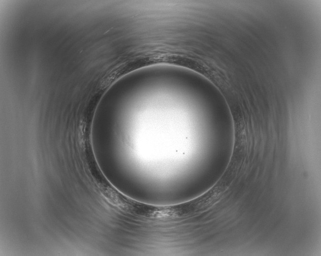 X0000061150275200511181242